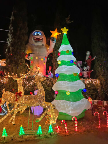 Send your best photos from Maui County to mauiphotos@mauinews.com for a chance to see them featured on our website and in our weekly print edition.